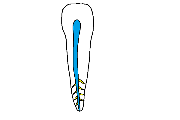 29bcc37cc9c25fe20d3b28a7b52852ec_1467686296_9014.png