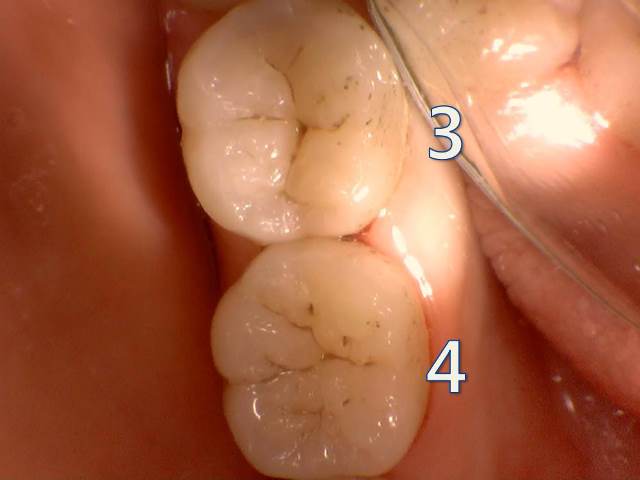 8b6fda109d91d8447b7d451278611fbe_1476843917_8291.jpg