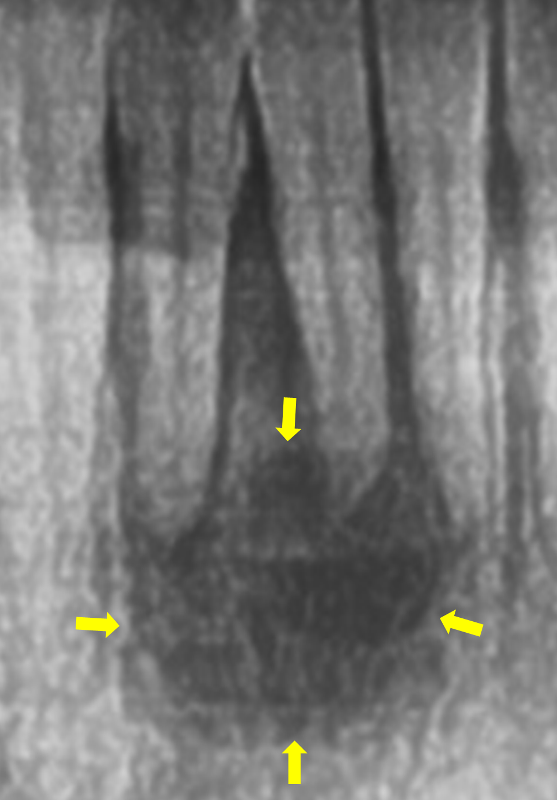 8164675d038dfb4e1e64b771c180ebcd_1554290472_5894.png