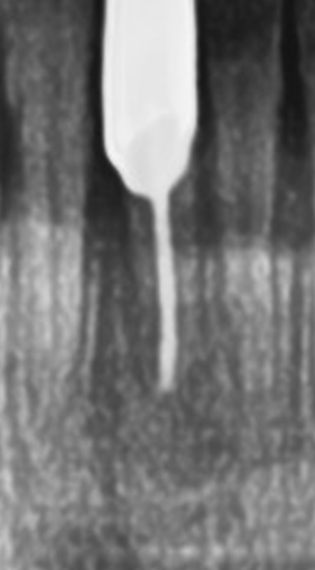 8164675d038dfb4e1e64b771c180ebcd_1554290538_9208.png